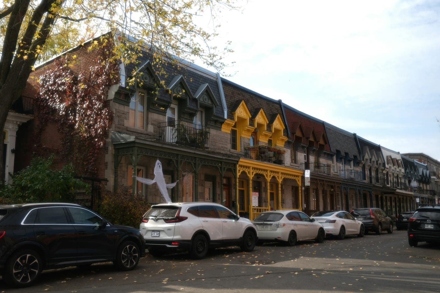 Courtier immobilier à Plateau-Mont-Royal, Montréal - photo 5