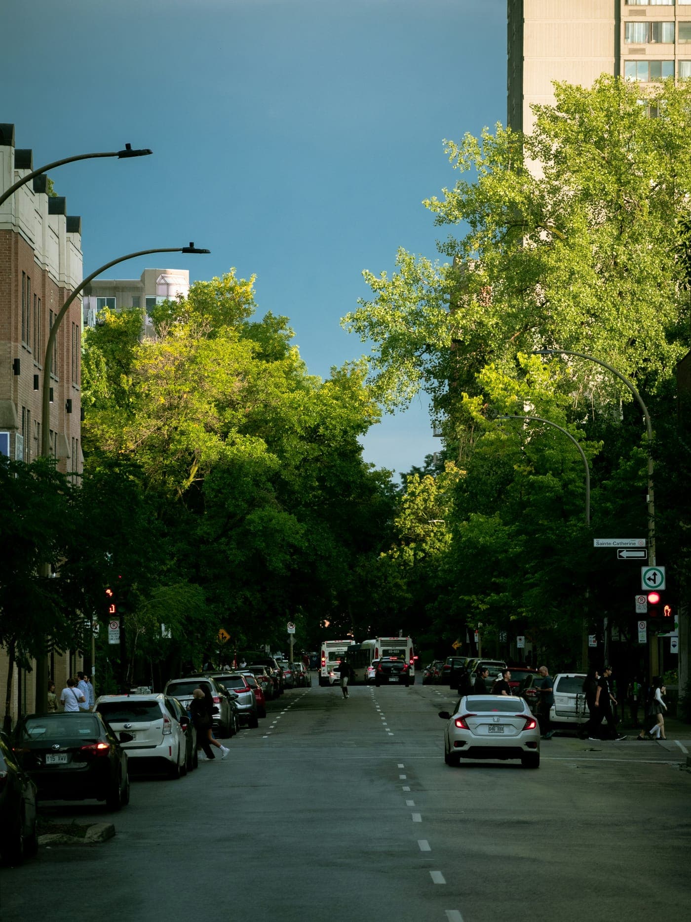 Courtier immobilier à Rosemont–La Petite-Patrie, Montréal - photo 3