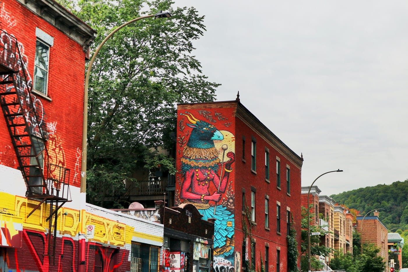 Courtier immobilier à Verdun, Montréal - photo 3