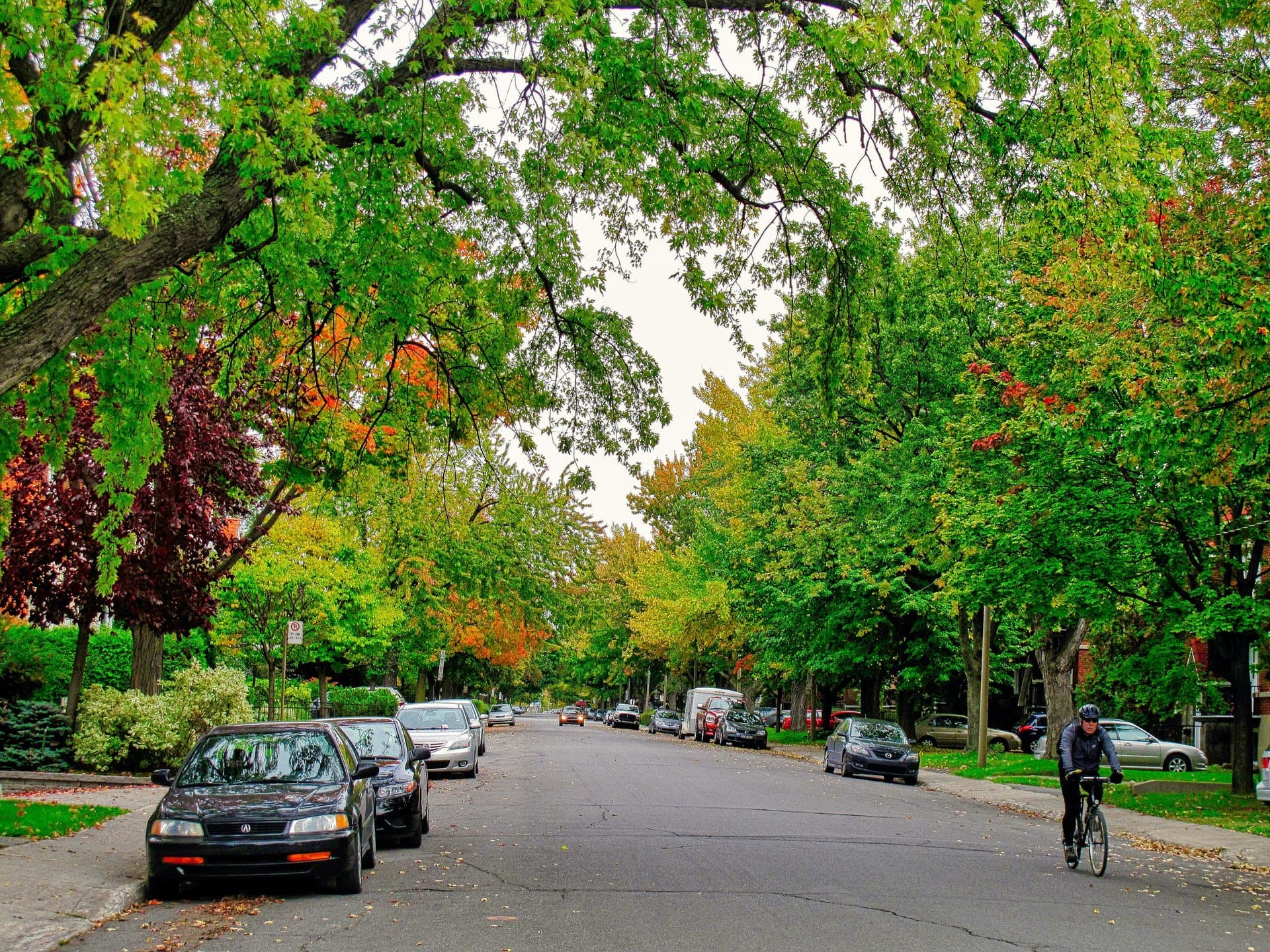 Ville Mont-Royal, Montréal