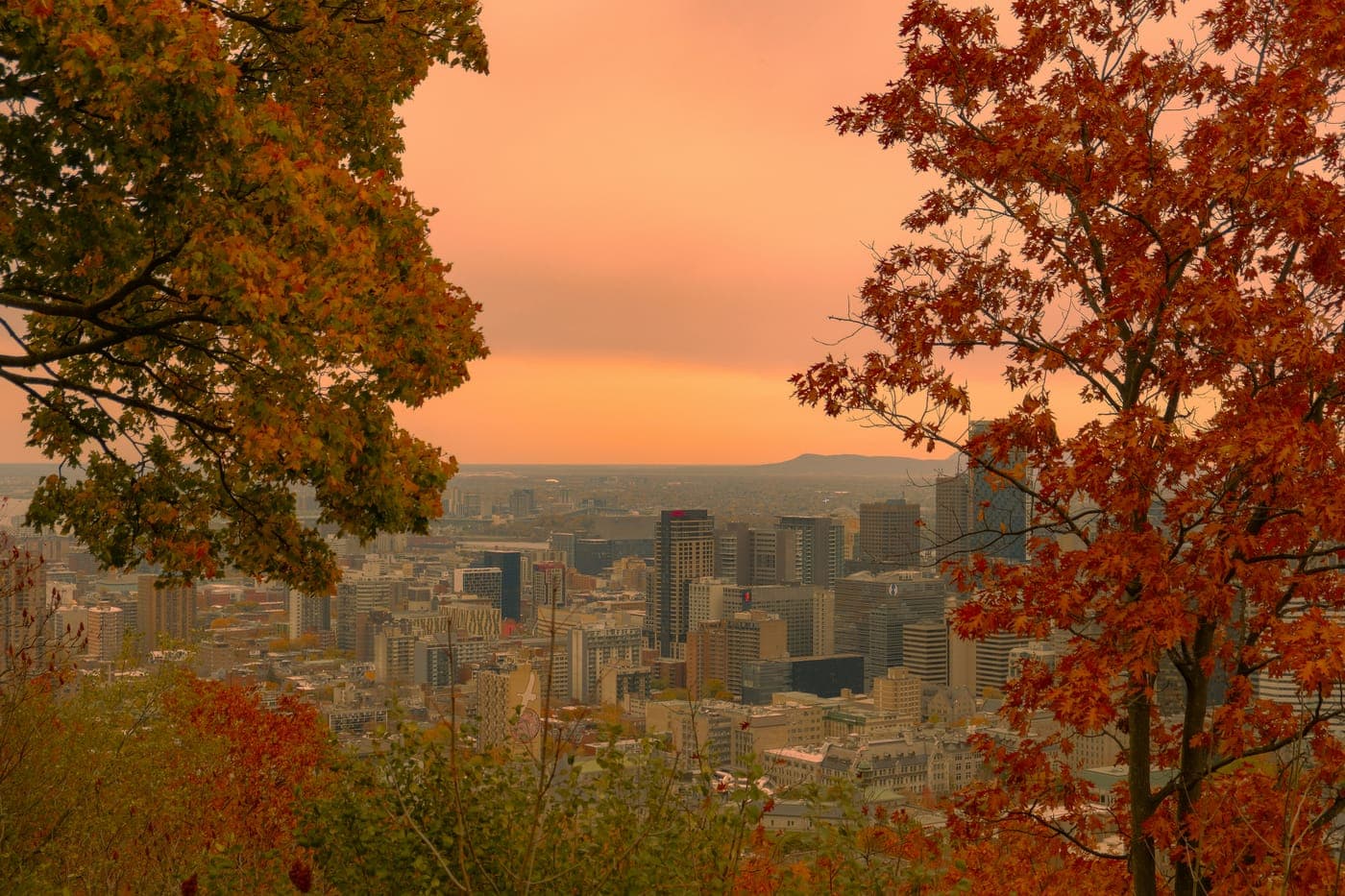 Courtier immobilier à Westmount, Montréal - photo 2