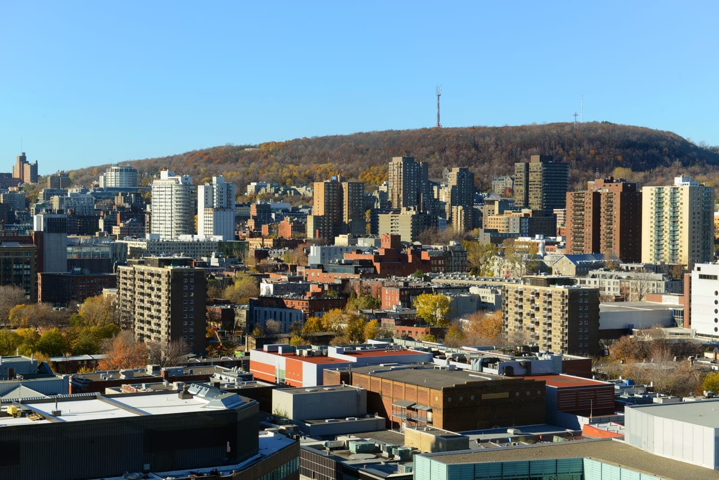 Courtier immobilier à Westmount, Montréal - photo 3
