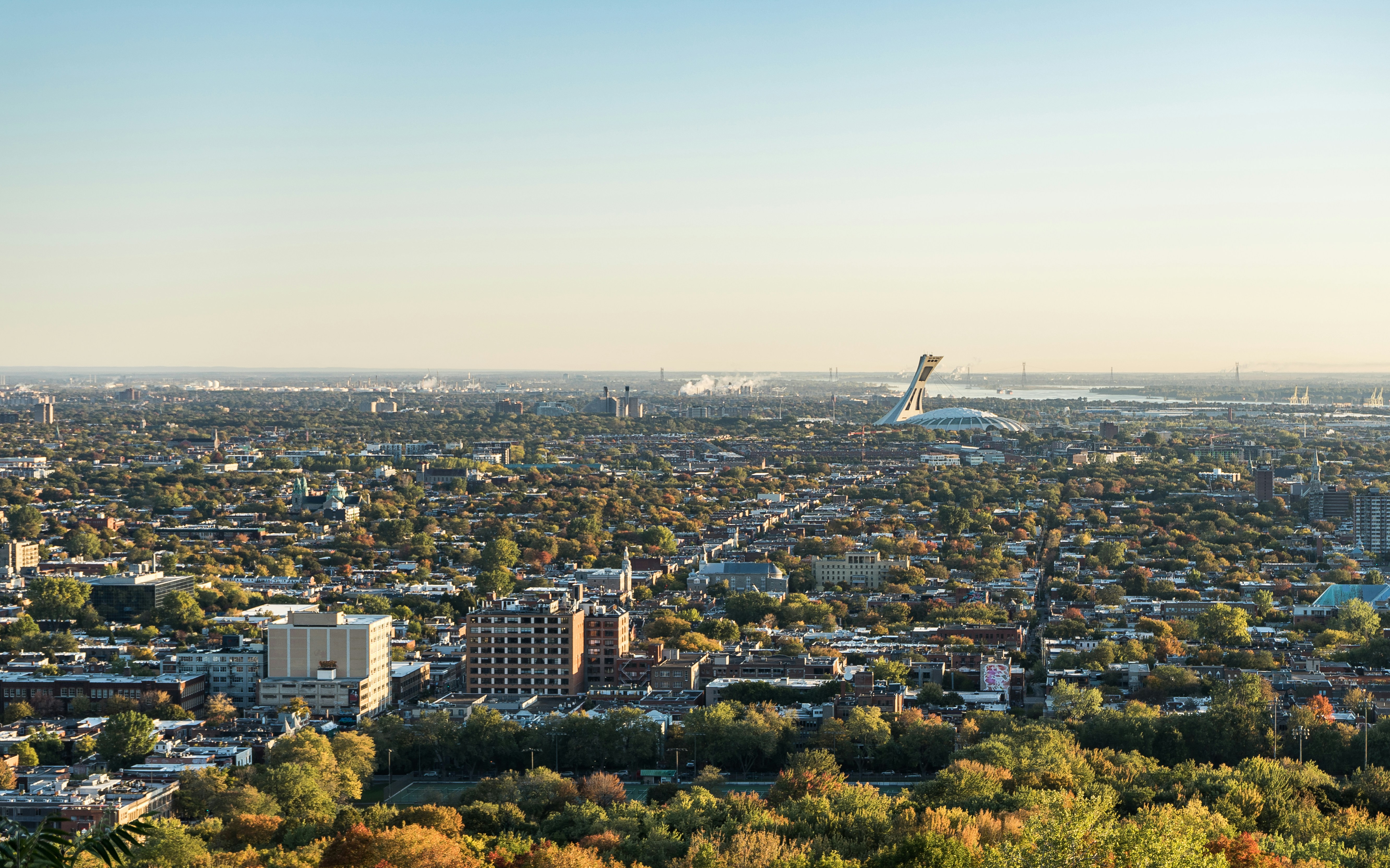 Hochelaga-Maisonneuve