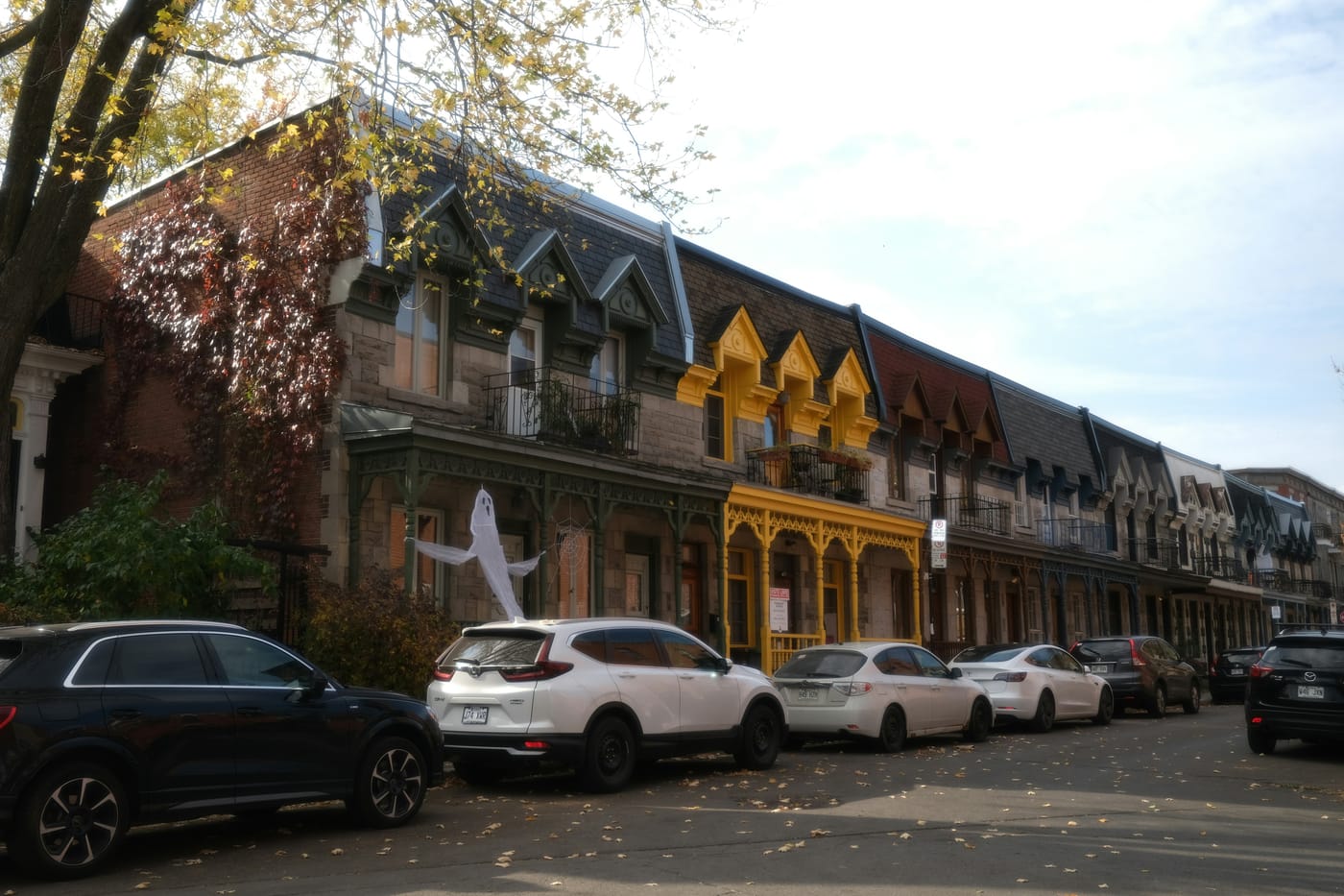 Courtier immobilier à Plateau-Mont-Royal, Montréal - photo 5