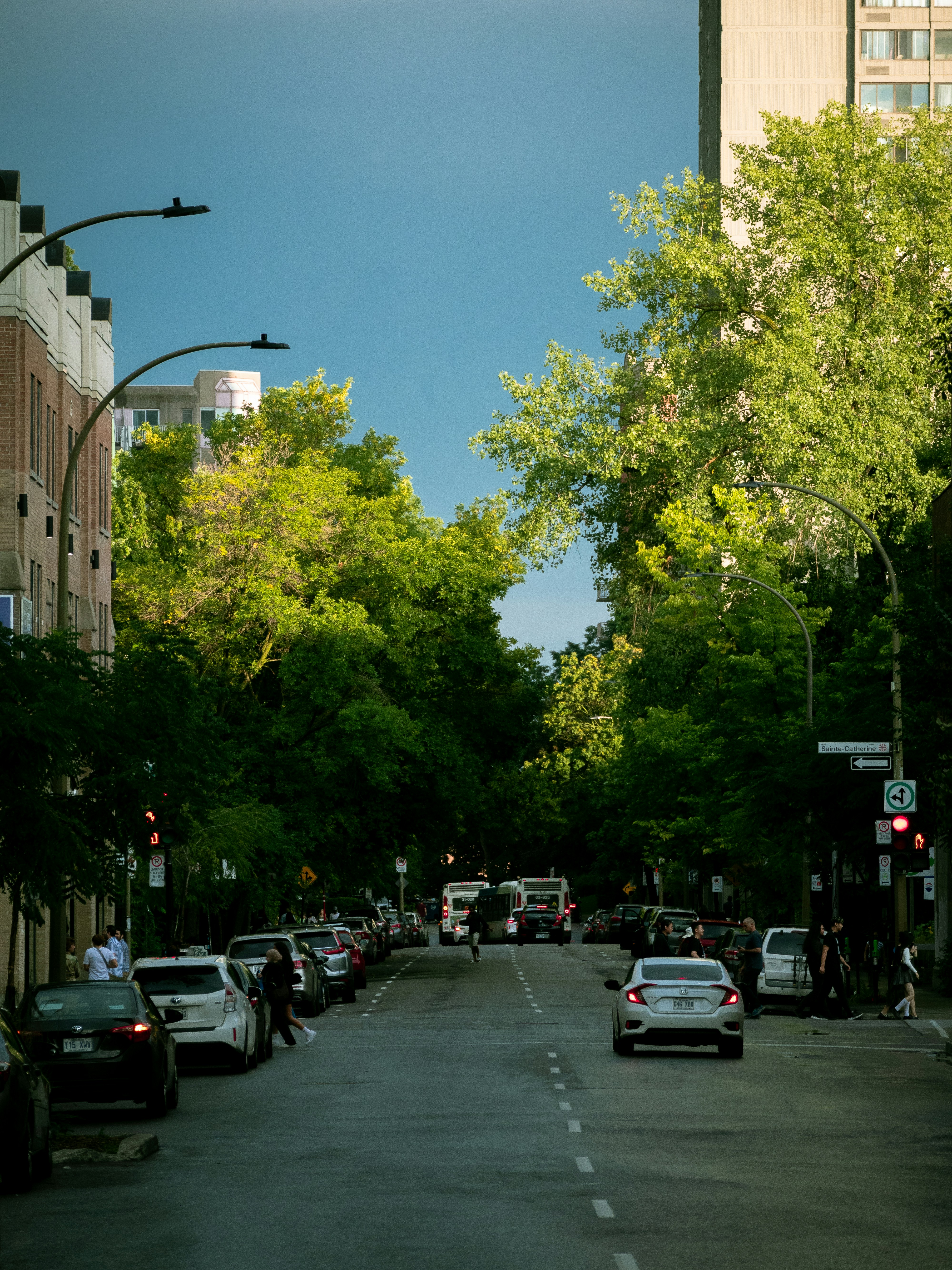Rosemont–La Petite-Patrie — vue 2