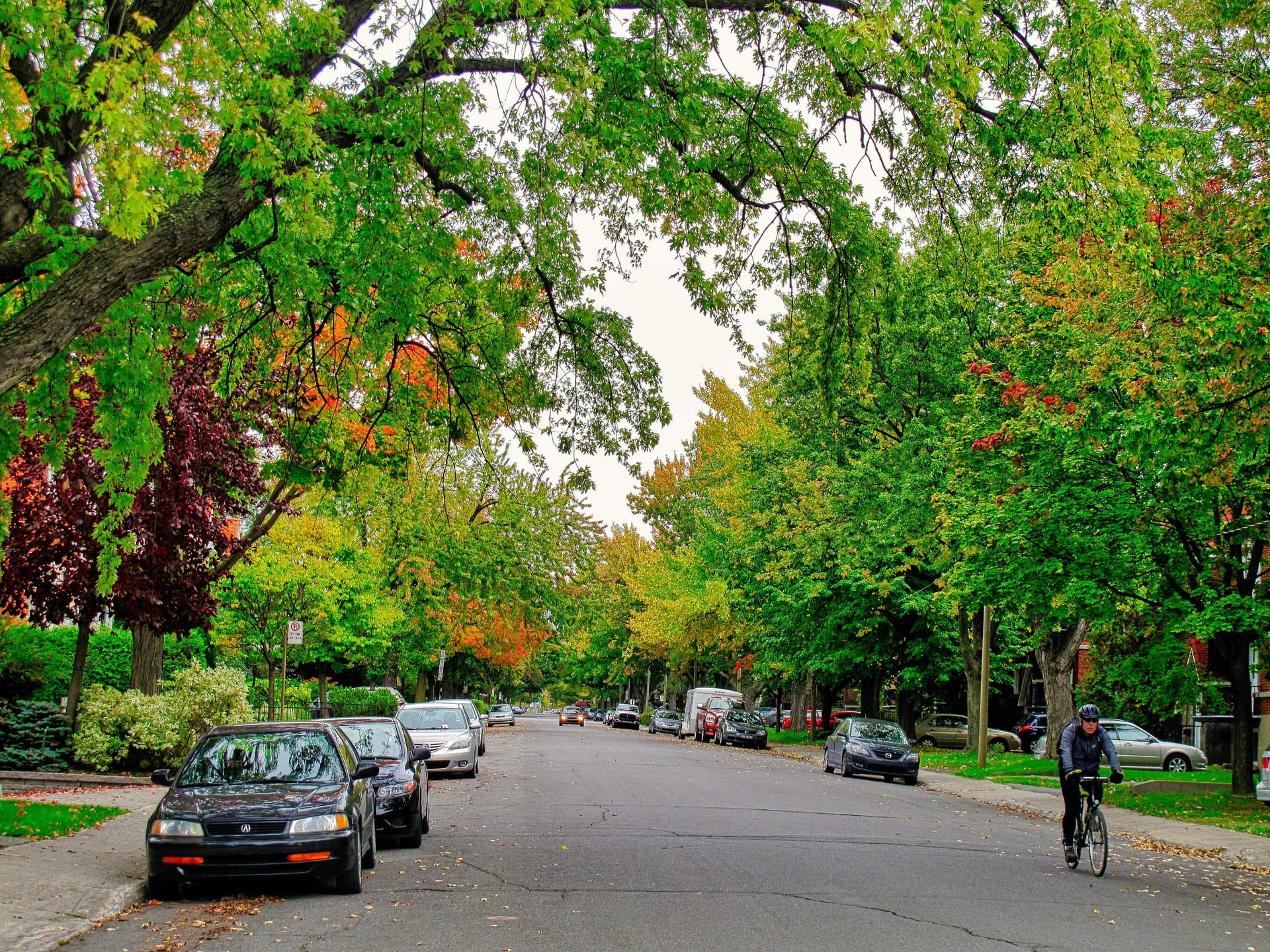 Ville Mont-Royal